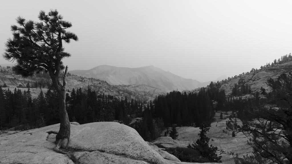 Ein Bild von Yosemite Sam