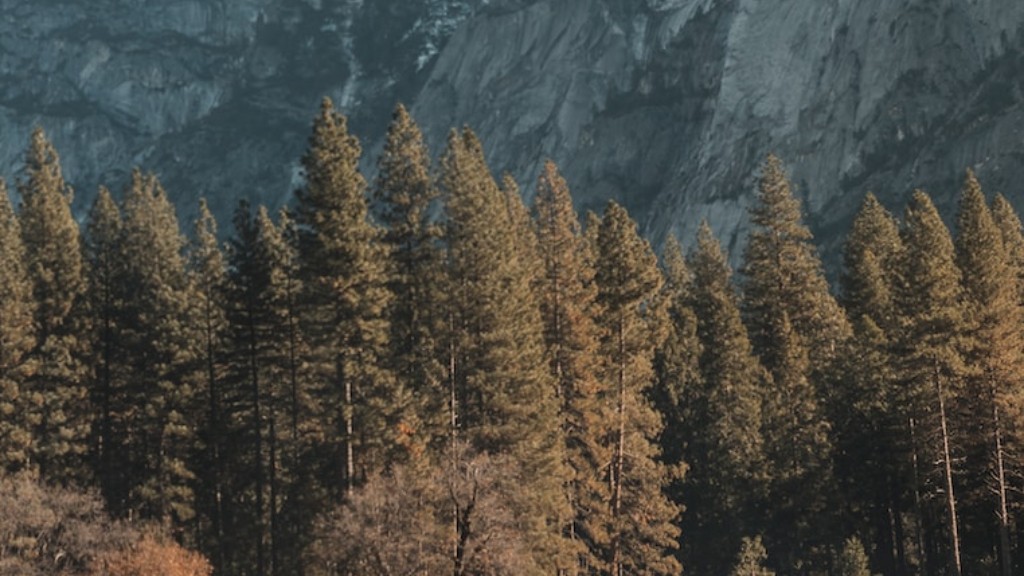 Wer hat Yosemite entdeckt?